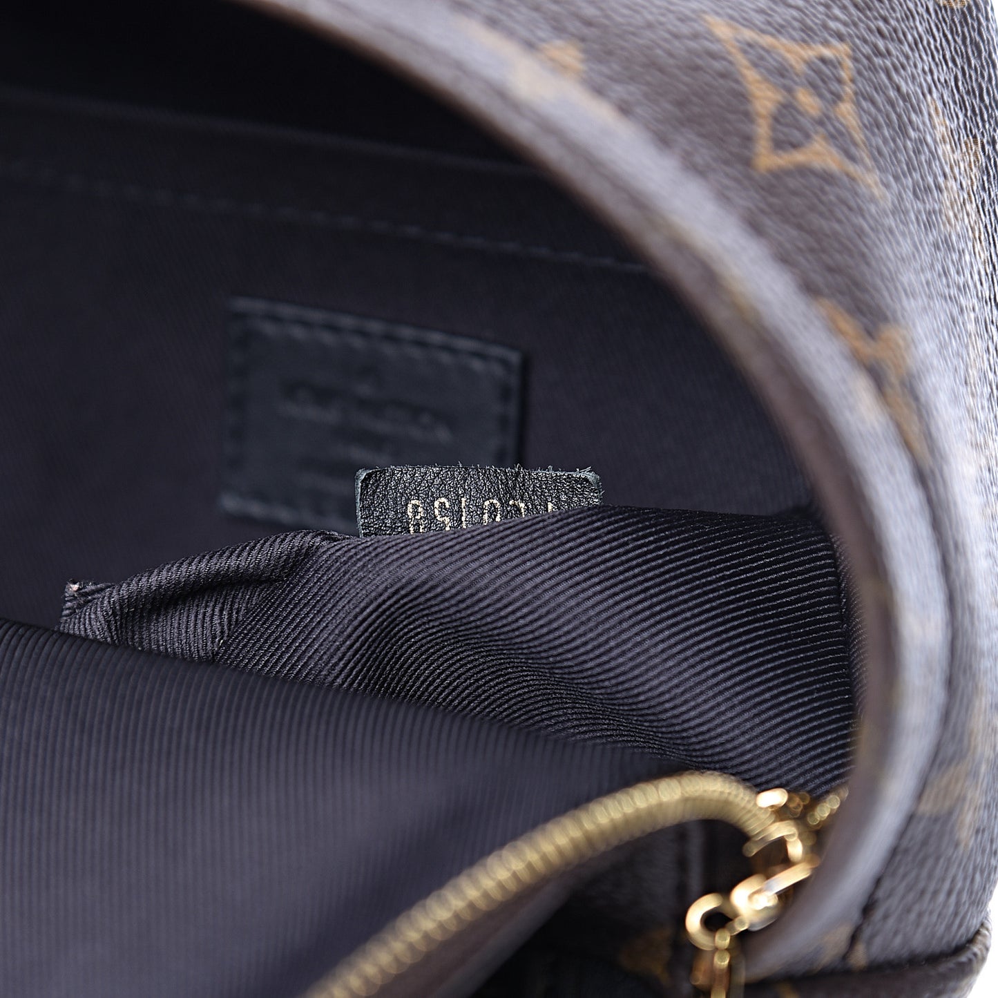 Monogram Palm Springs Backpack Mini