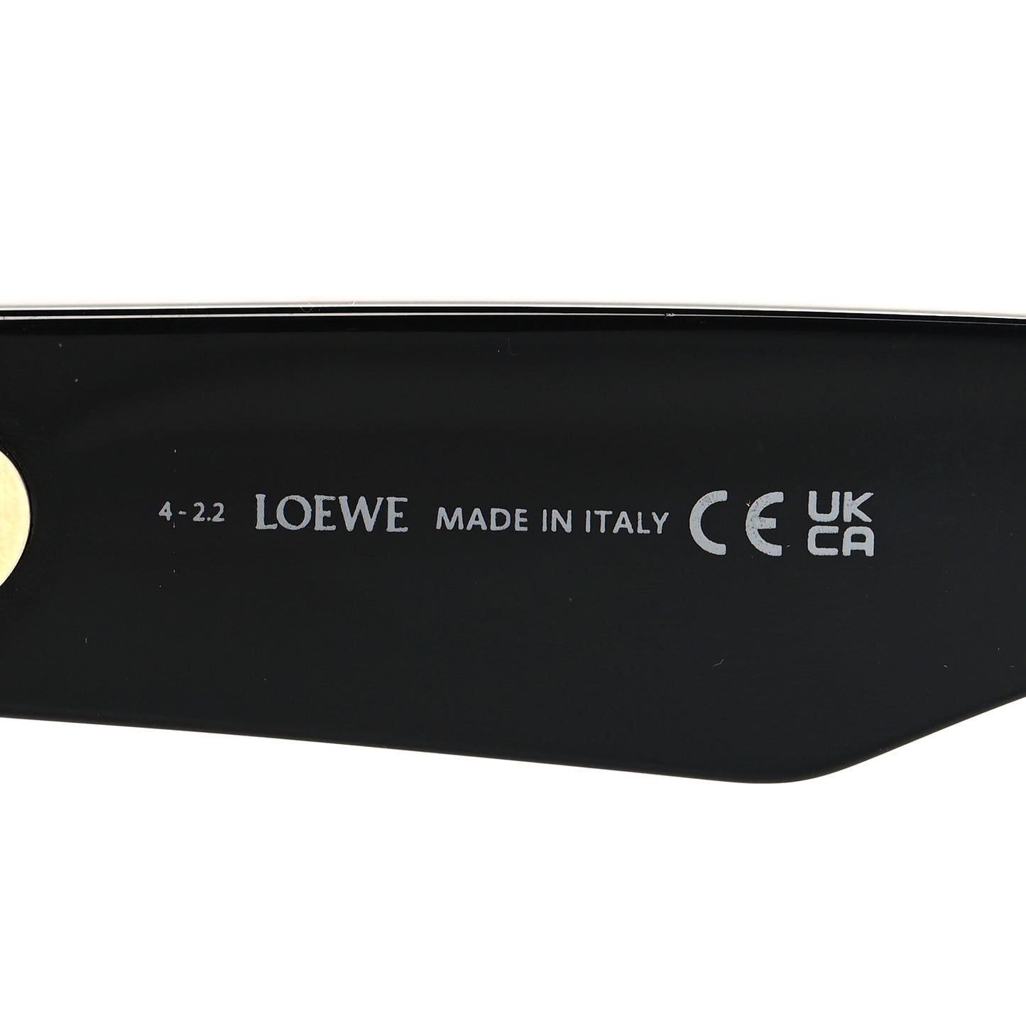 Acetate Sunglasses LW40091I Black