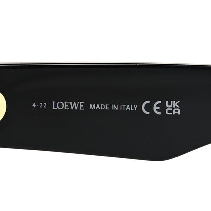 Loewe Acetate Sunglasses LW40091I Black 5 of 7