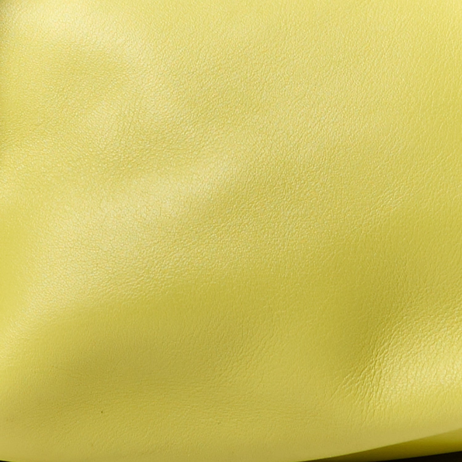 Loewe Shiny Nappa Calfskin Paseo Bag Lime Yellow 8 of 11
