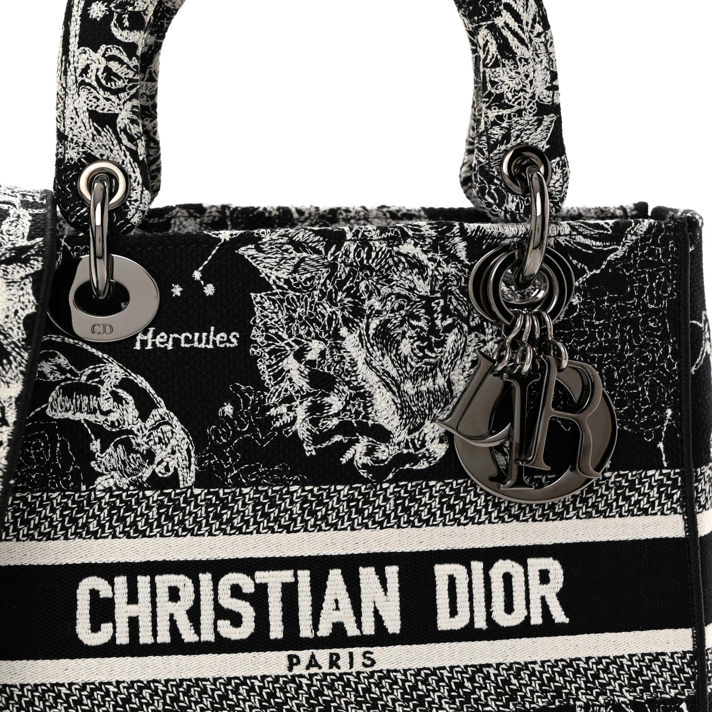 Canvas Embroidered Zodiac Toile De Jouy Medium Lady D-Lite Black