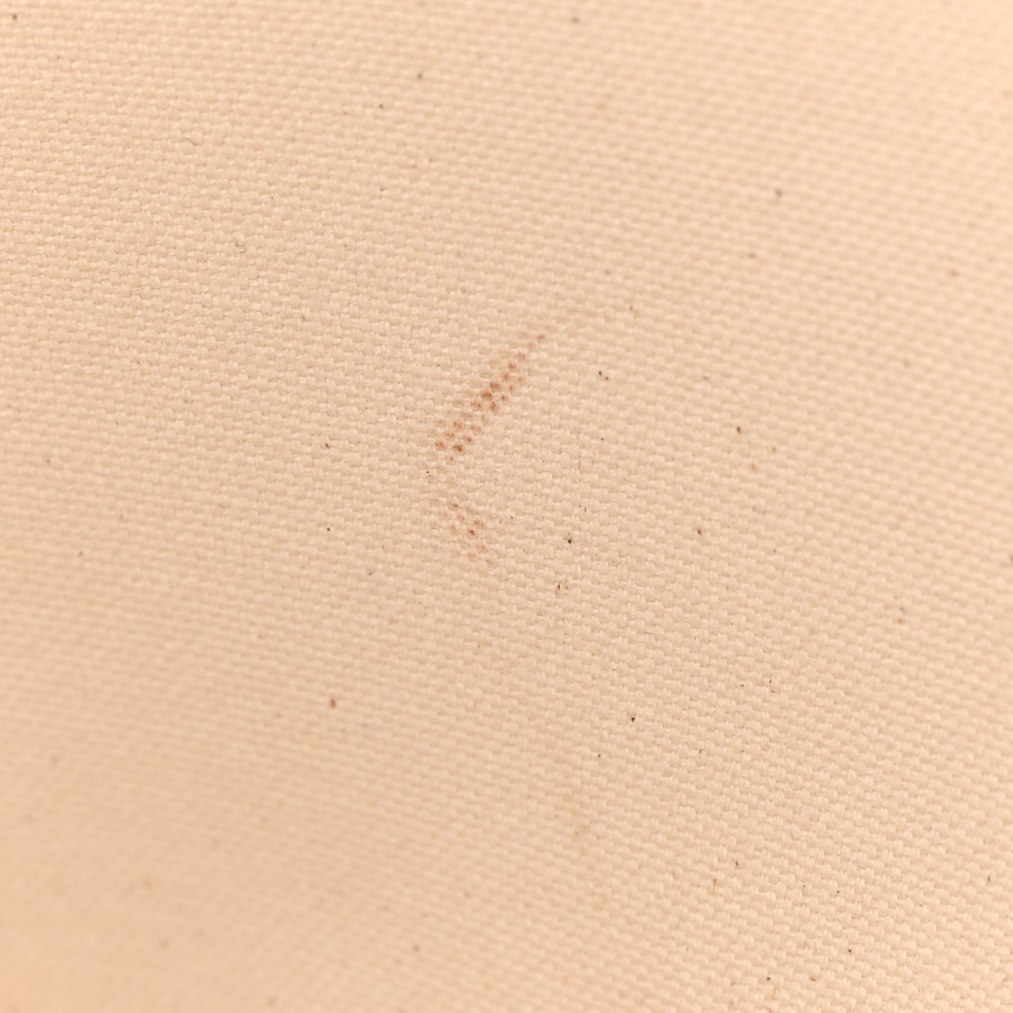 Canvas Calfskin Horizontal Cabas Natural Tan