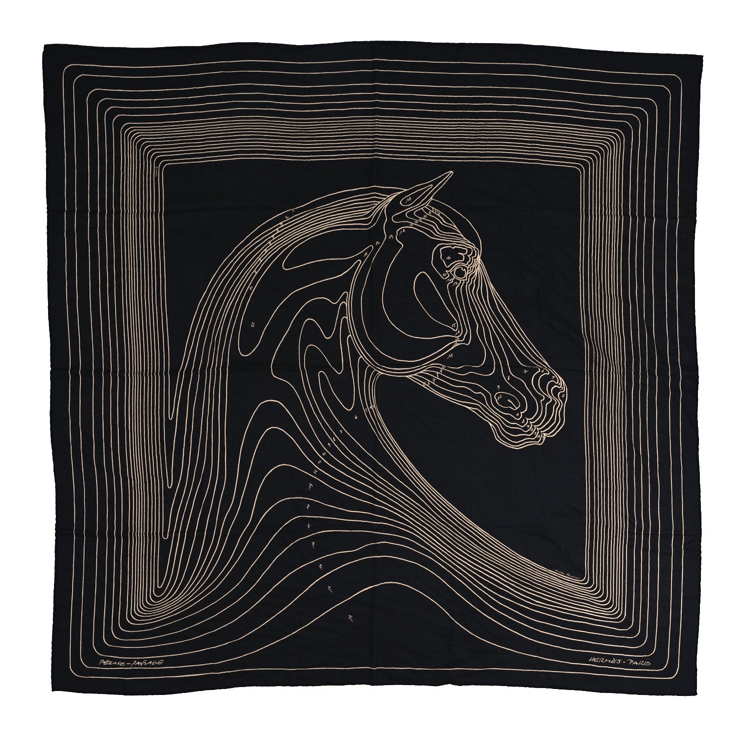 Hermes Cashmere Silk Pegase Paysage Shawl 140 Black Beige 1 of 5