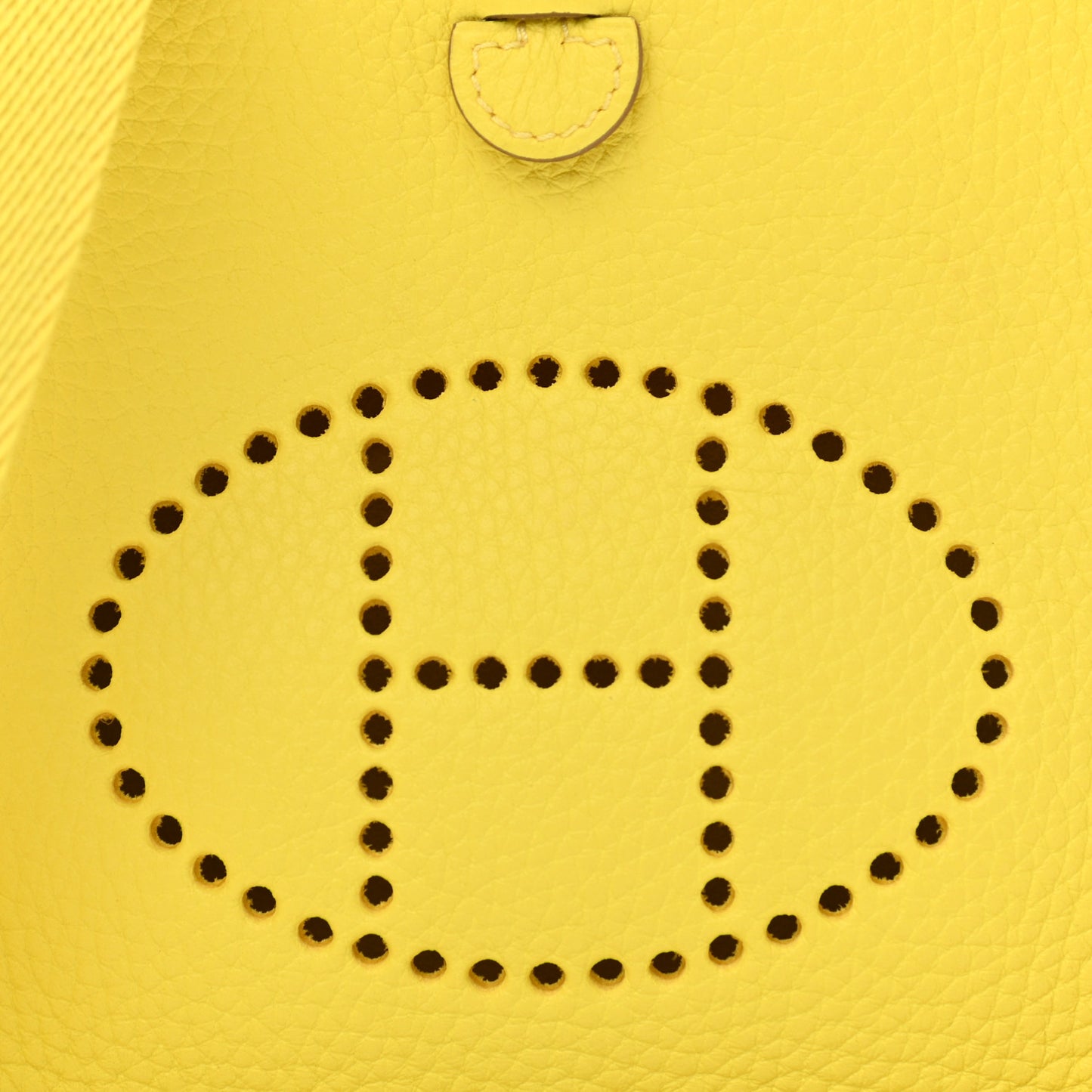 Taurillon Clemence Evelyne TPM Lime