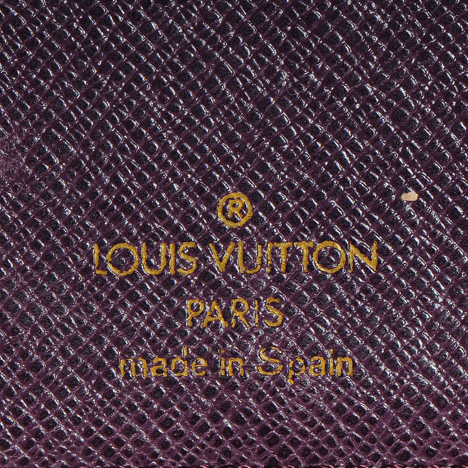 Louis Vuitton Epi Small Ring Agenda Cover Tassil 7 of 8