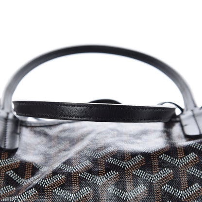 Goyard Goyardine Saint Louis PM Black 12 of 13