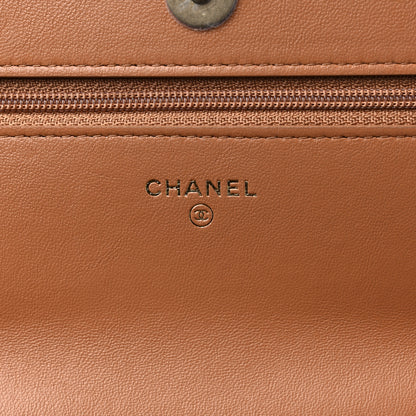 Chanel Lambskin Quilted Chanel 19 Wallet On Chain WOC Brown 6 of 12