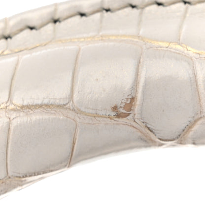 Christian Dior Metallic Alligator Medium Lady Dior White Grey 11 of 12