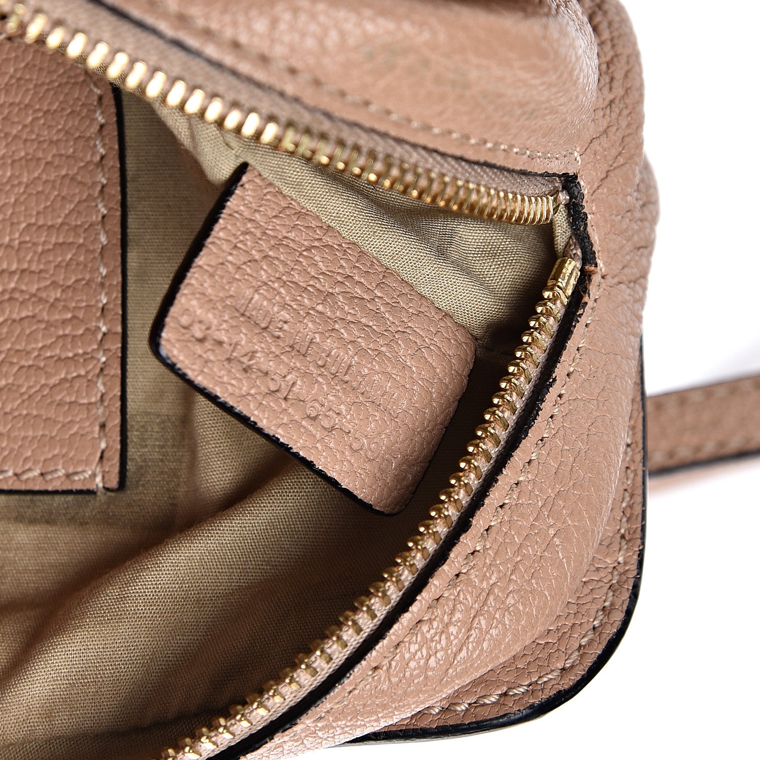 Chloe Goatskin Mini Elsie Crossbody Bag Biscotti Beige 6 of 16