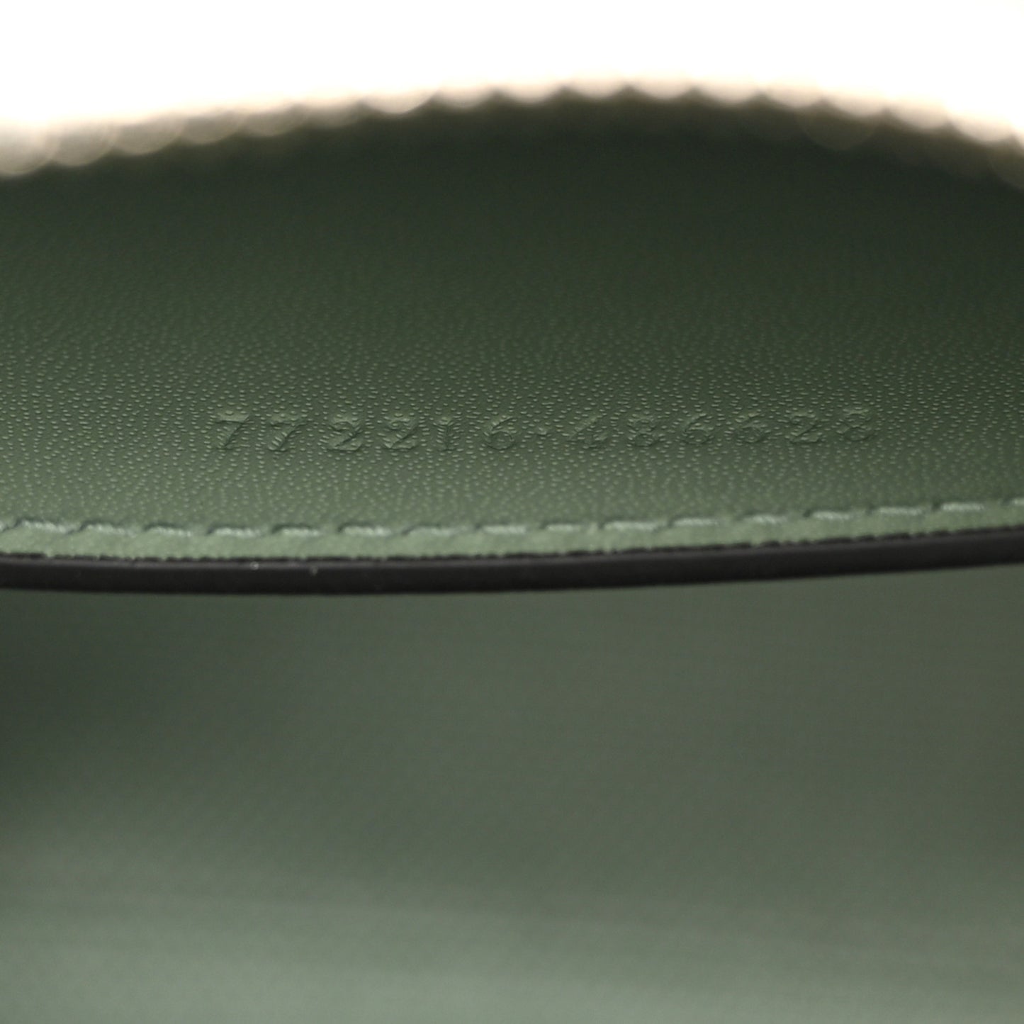 Summer Denim Calfskin GG Monogram Web Mini Top Handle Ophidia Dome Shoulder Bag Pale Green