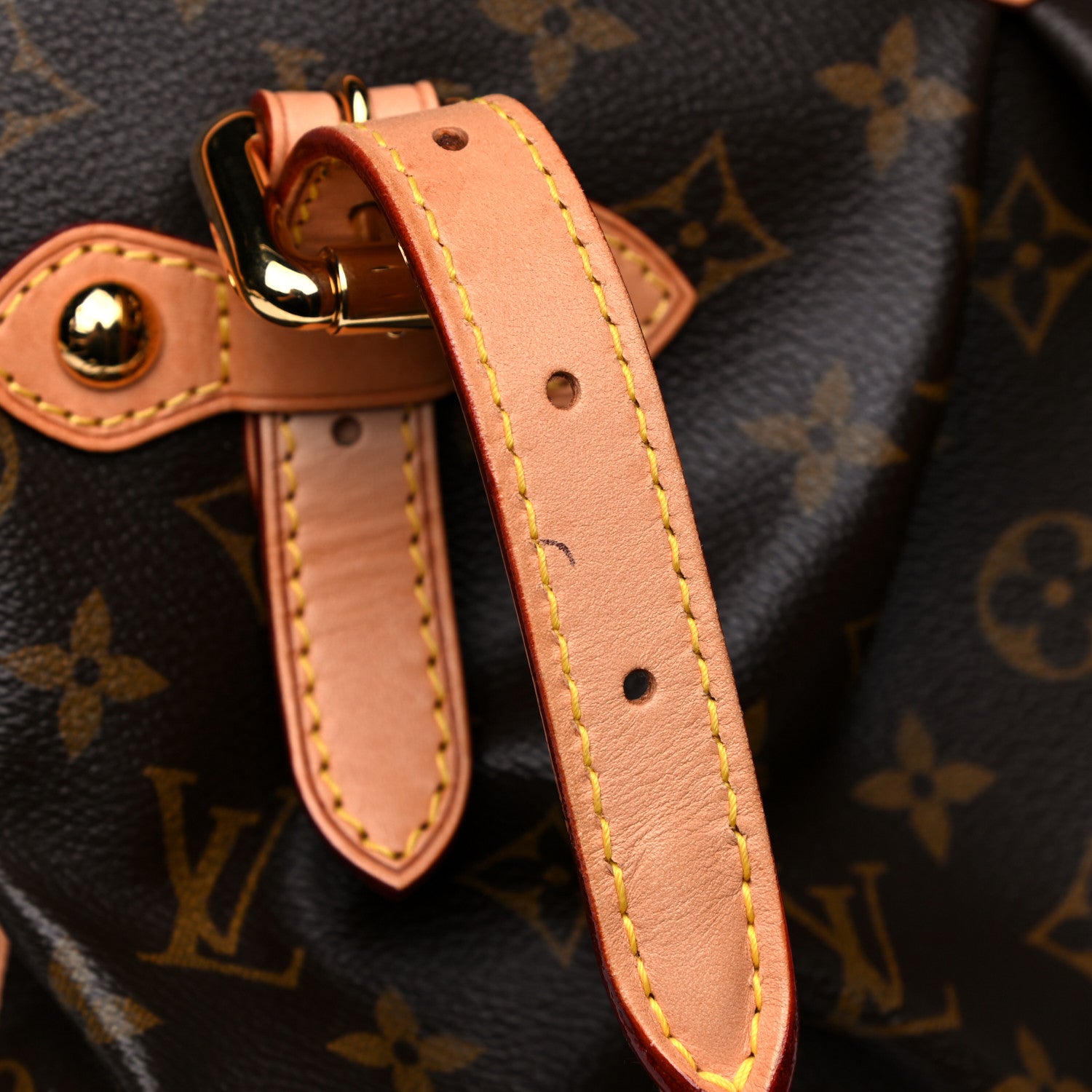 Louis Vuitton Monogram Tivoli GM 27 of 34