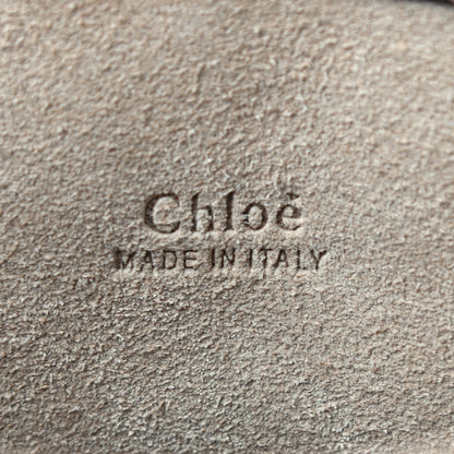 Chloe Grained Calfskin Darryl Clutch Cement Brown 6 of 7