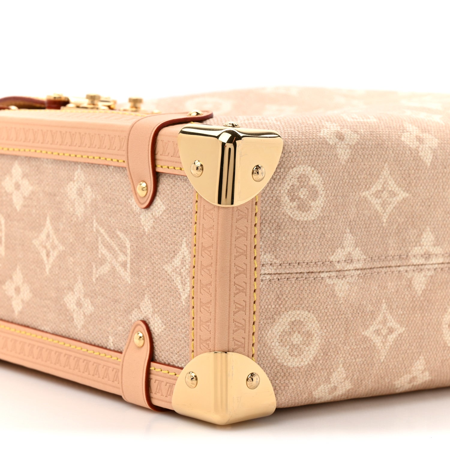 Louis Vuitton Meowgram Side Trunk GM 10 of 10
