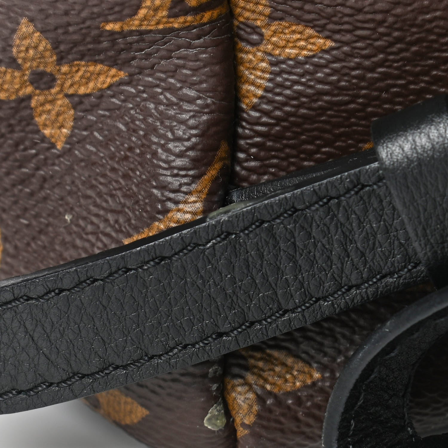 Louis Vuitton Reverse Monogram Palm Springs Backpack PM 5 of 6