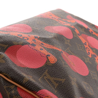 Louis Vuitton Monogram Ramages Speedy 30 Grenade 11 of 12