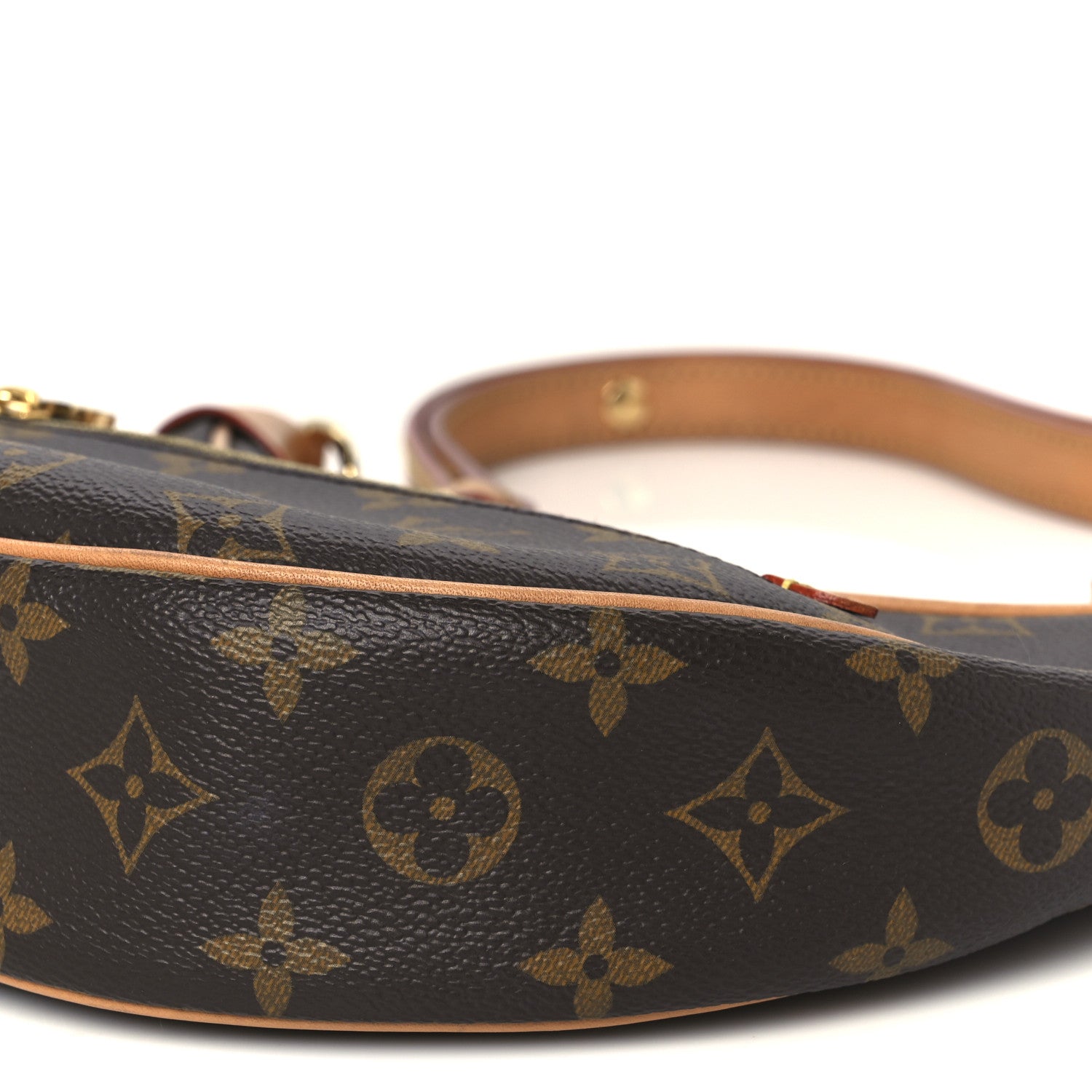 Louis Vuitton Monogram Loop 9 of 10