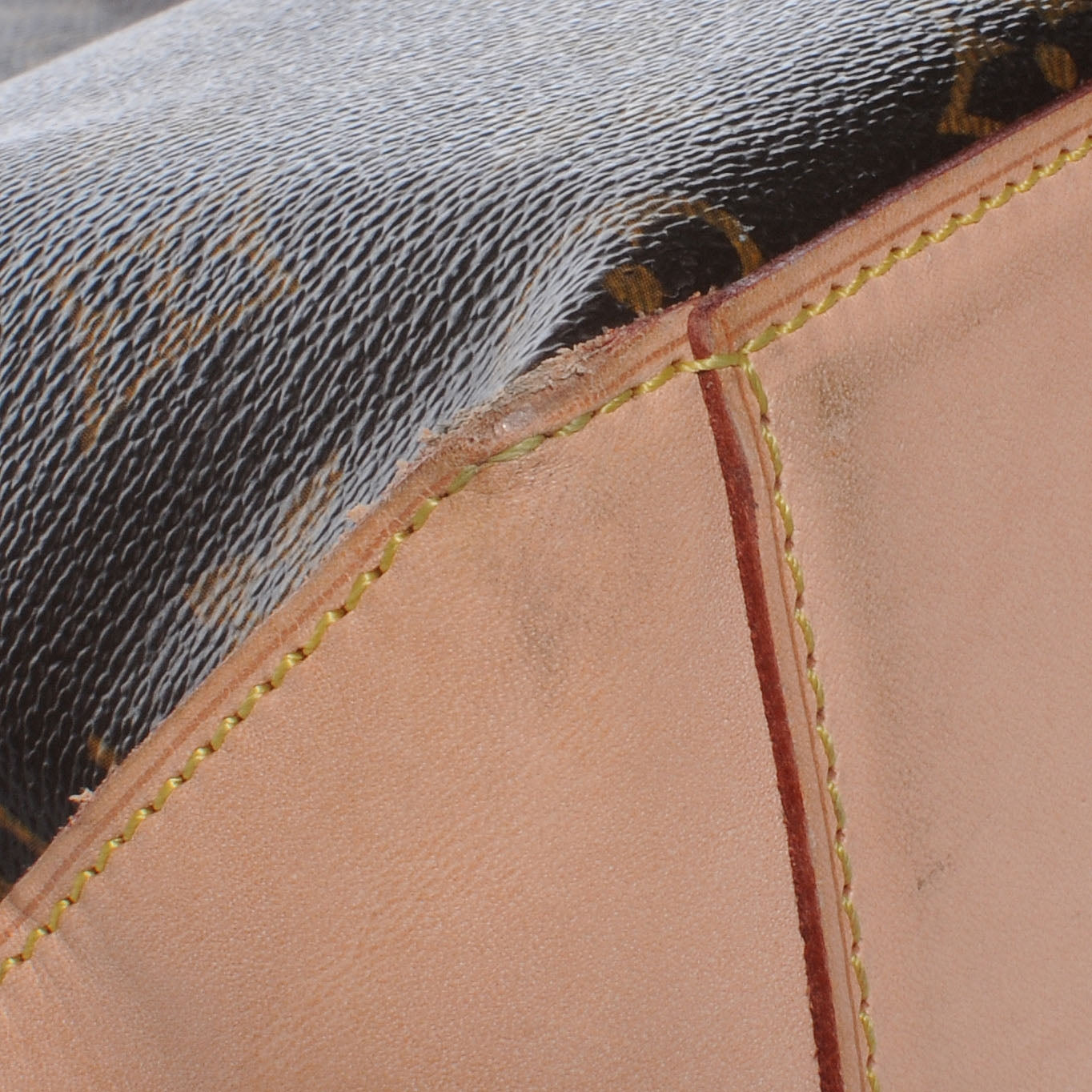 Monogram Cabas Mezzo