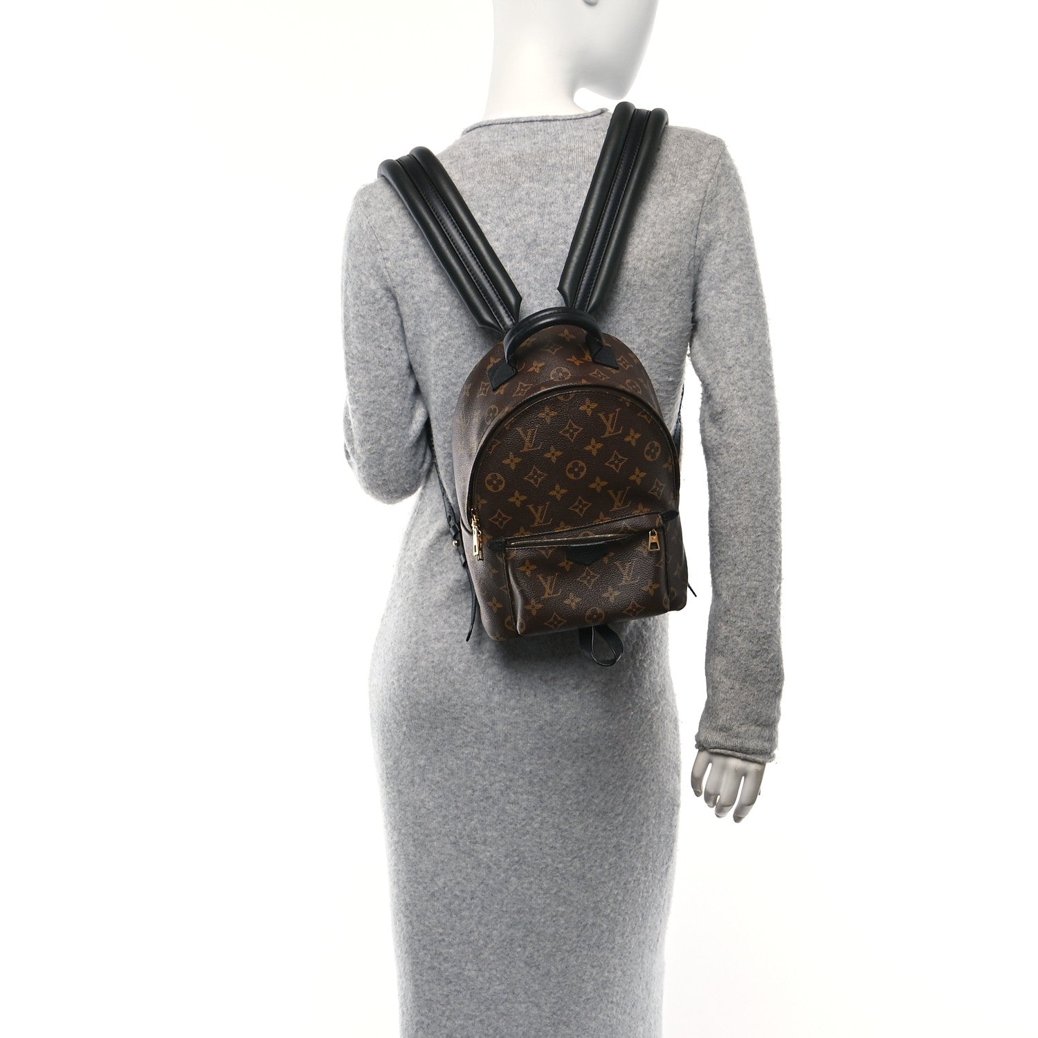 Louis Vuitton Monogram Palm Springs Backpack PM 2 of 10