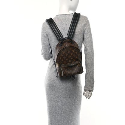 Louis Vuitton Monogram Palm Springs Backpack PM 2 of 10