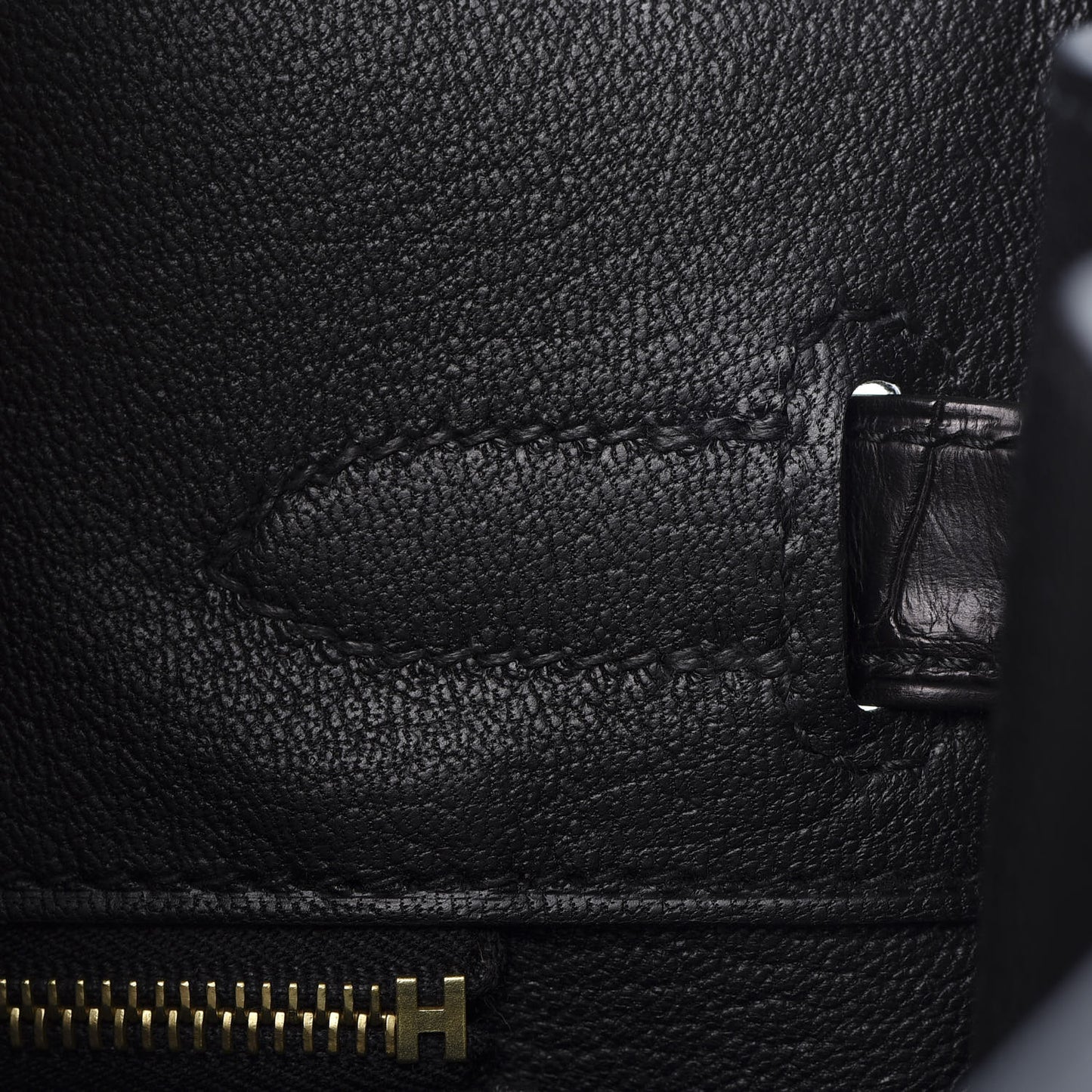 Togo Matte Alligator Birkin Touch 30 Black