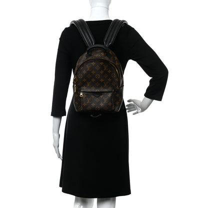 Louis Vuitton Monogram Palm Springs Backpack PM 2 of 9