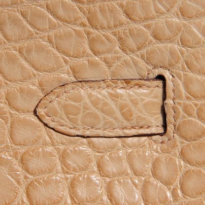 Hermes Matte Alligator Birkin 35 Poussiere 29 of 29
