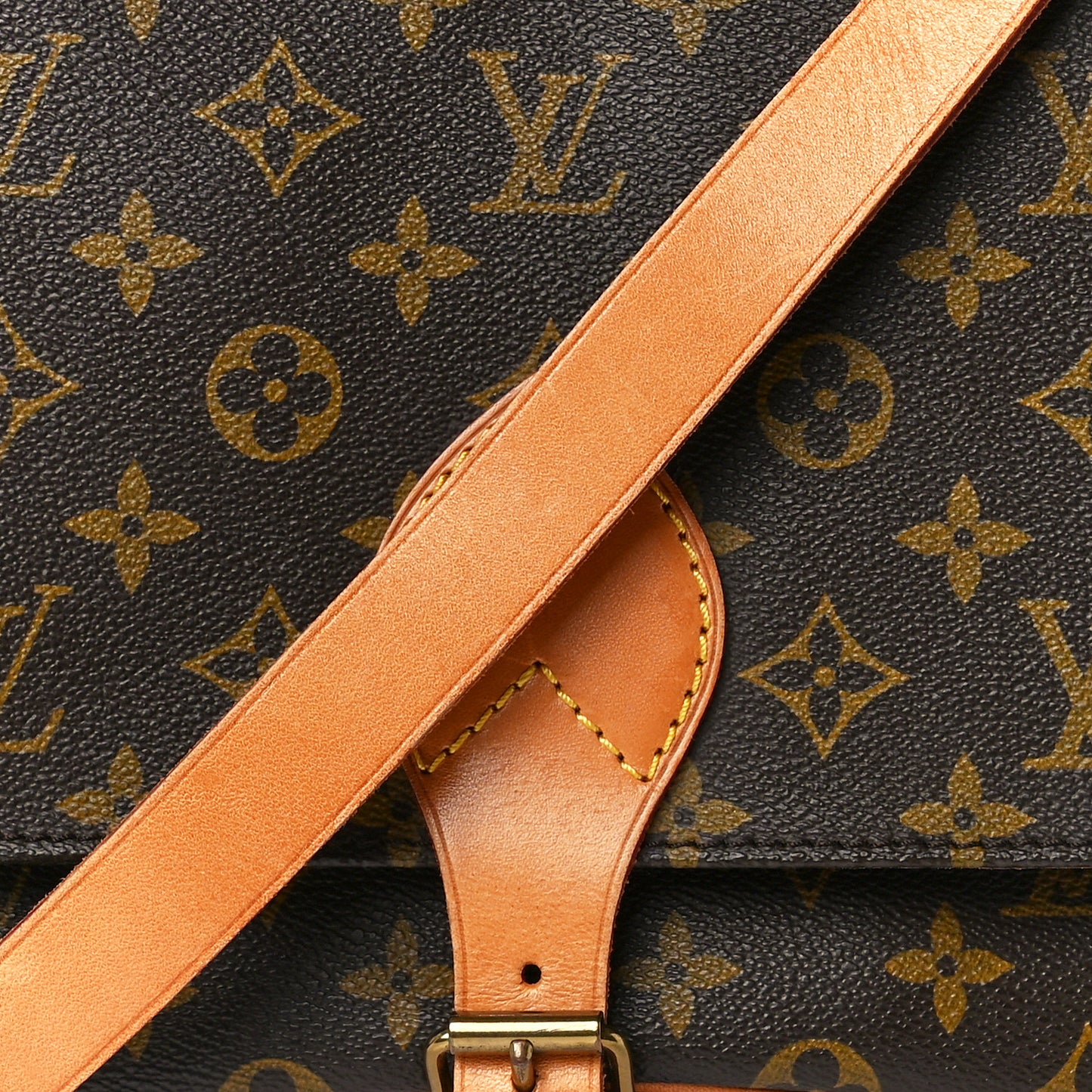 Monogram Cartouchiere 22