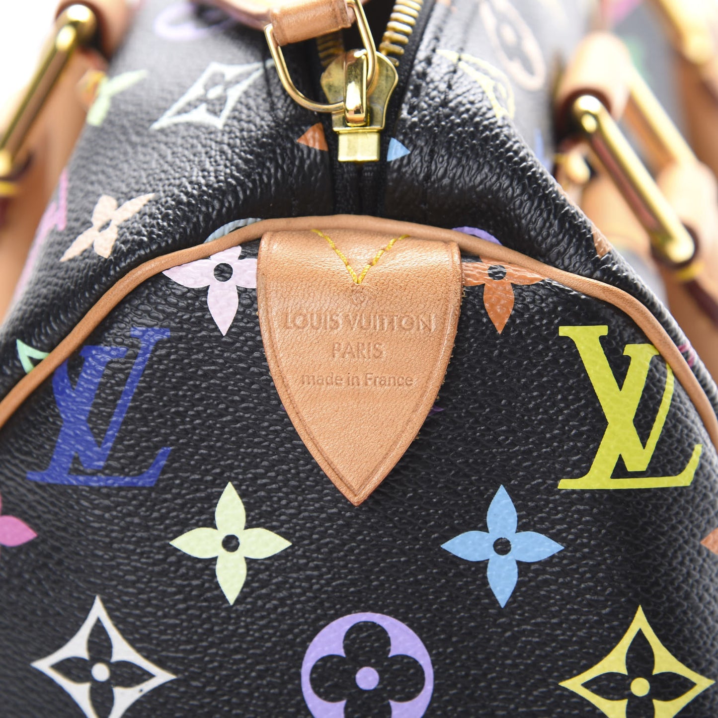 Monogram Multicolor Speedy 30 Black