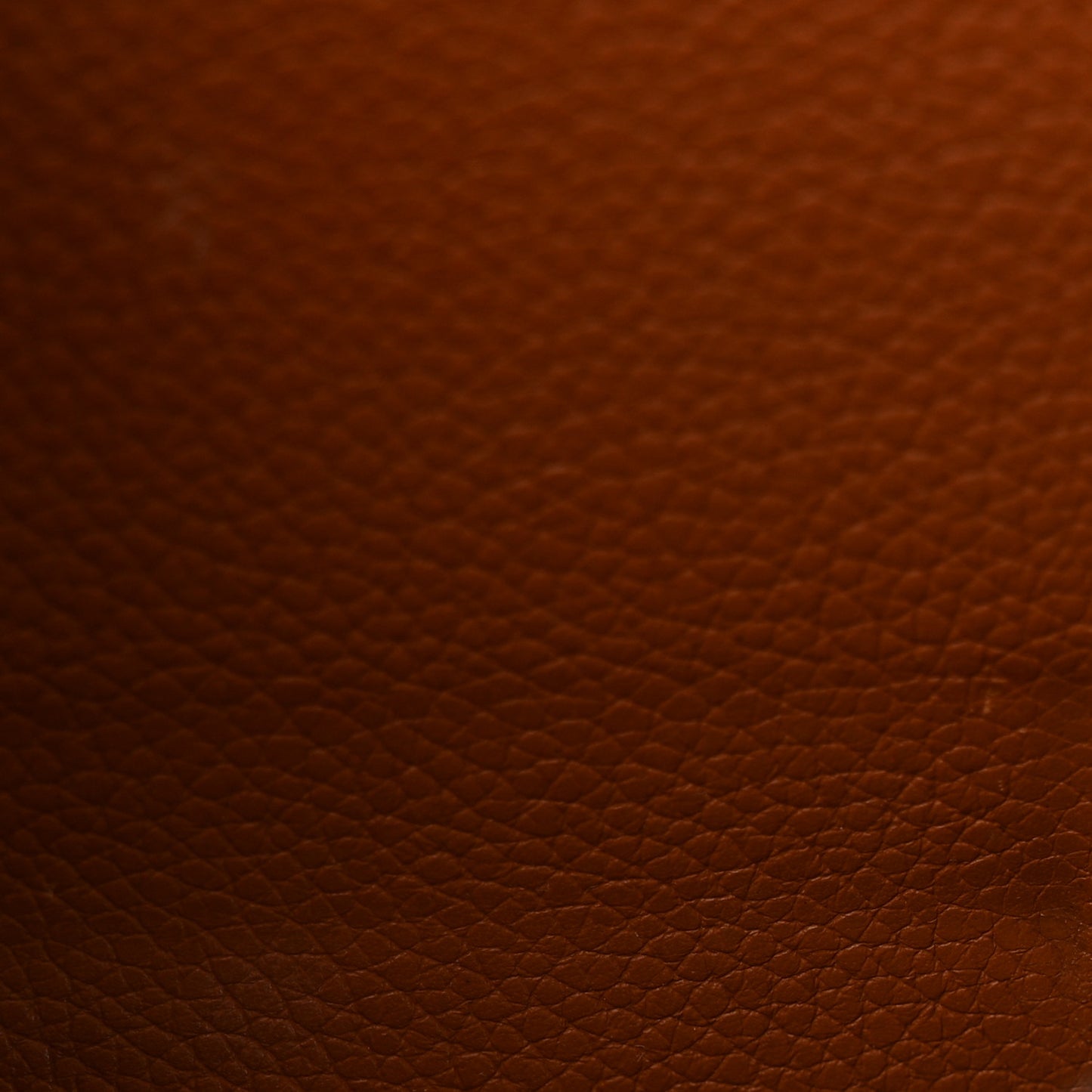 Monogram Olympe Camel