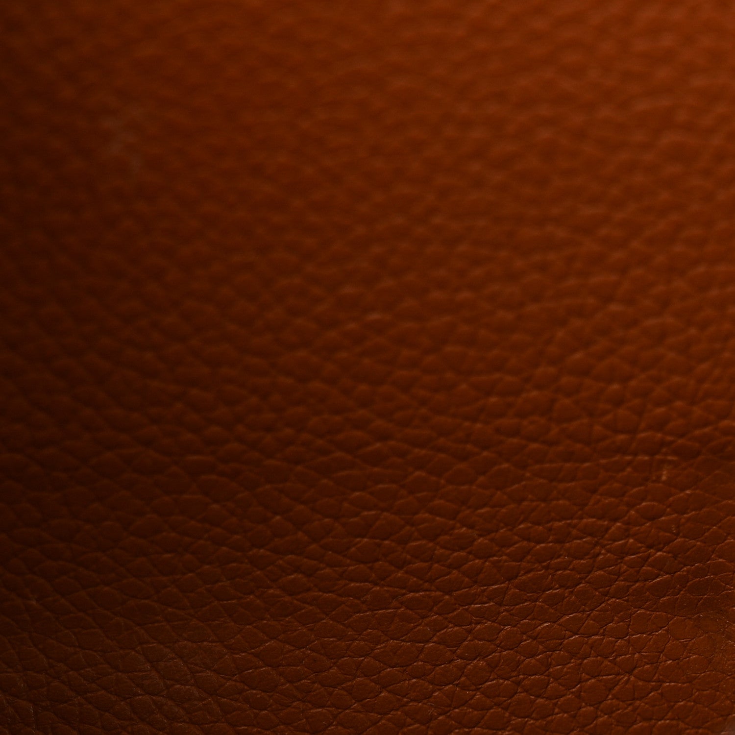 Louis Vuitton Monogram Olympe Camel 18 of 18