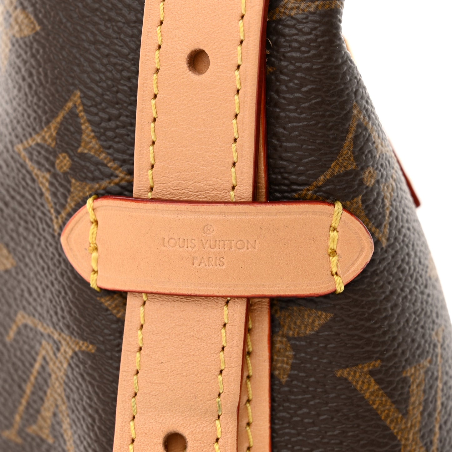 Monogram CarryAll PM
