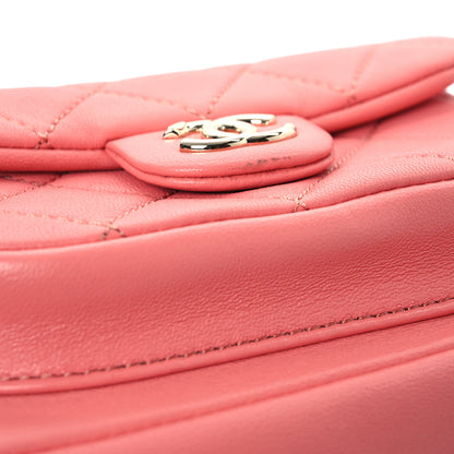 Chanel Lambskin Quilted Small Duma Drawstring Backpack Pink 11 of 11