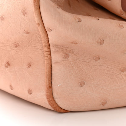 Louis Vuitton Ostrich Frame Speedy Pink 13 of 13