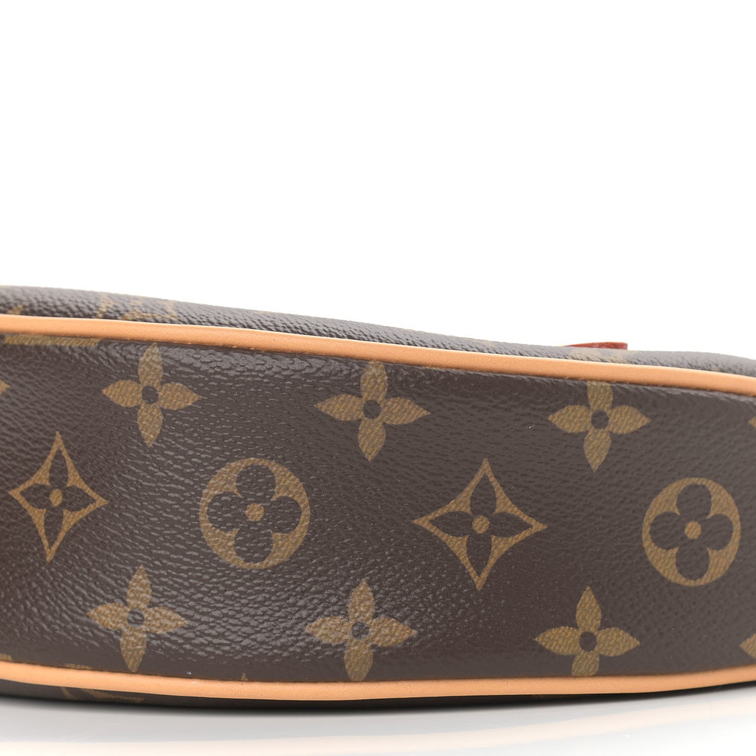 Louis Vuitton Monogram Loop 8 of 8
