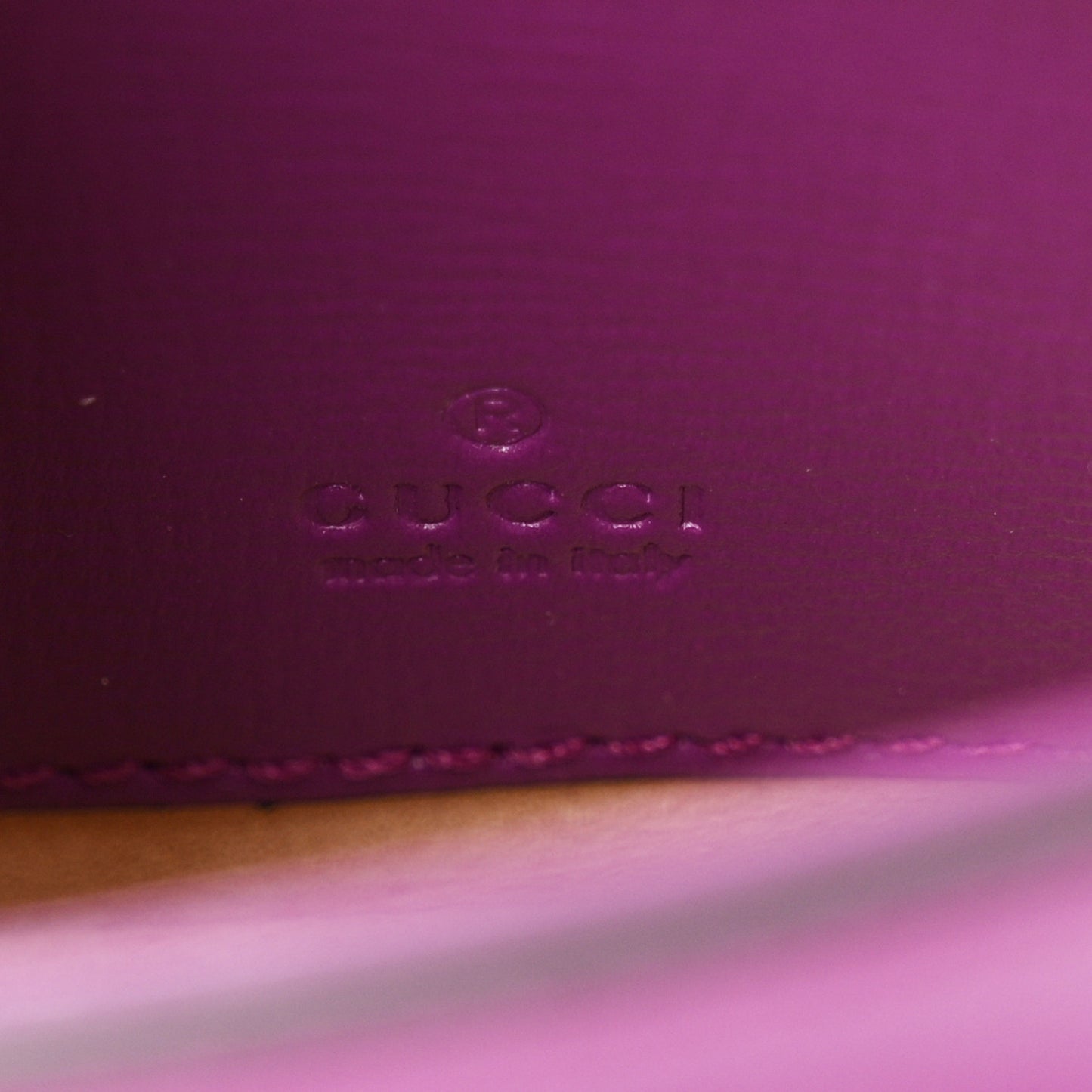 Azalea Calfskin Web Monochrome Horsebit 1955 Wallet On Strap Purple