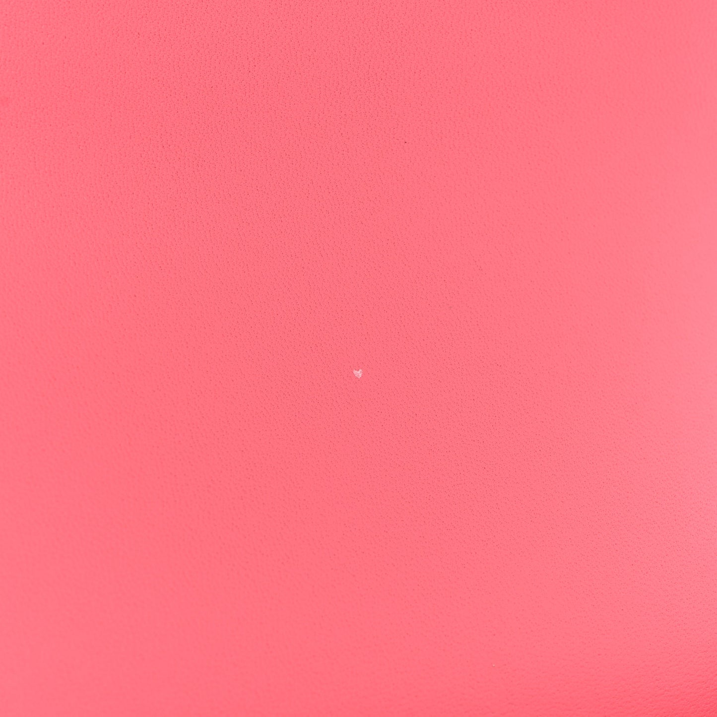 Evercolor Constance 24 Rose Azalee