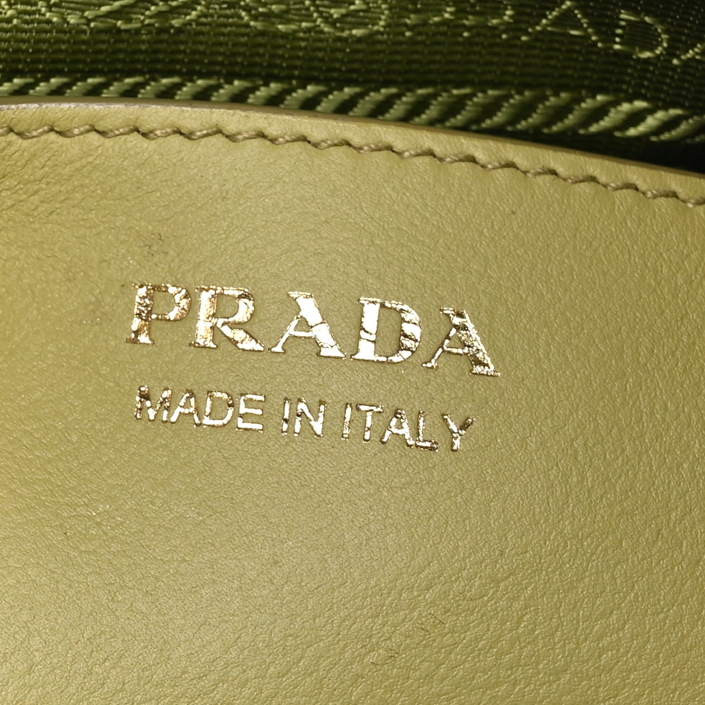 Soft Calfskin Darling Shoulder Bag Pistachio