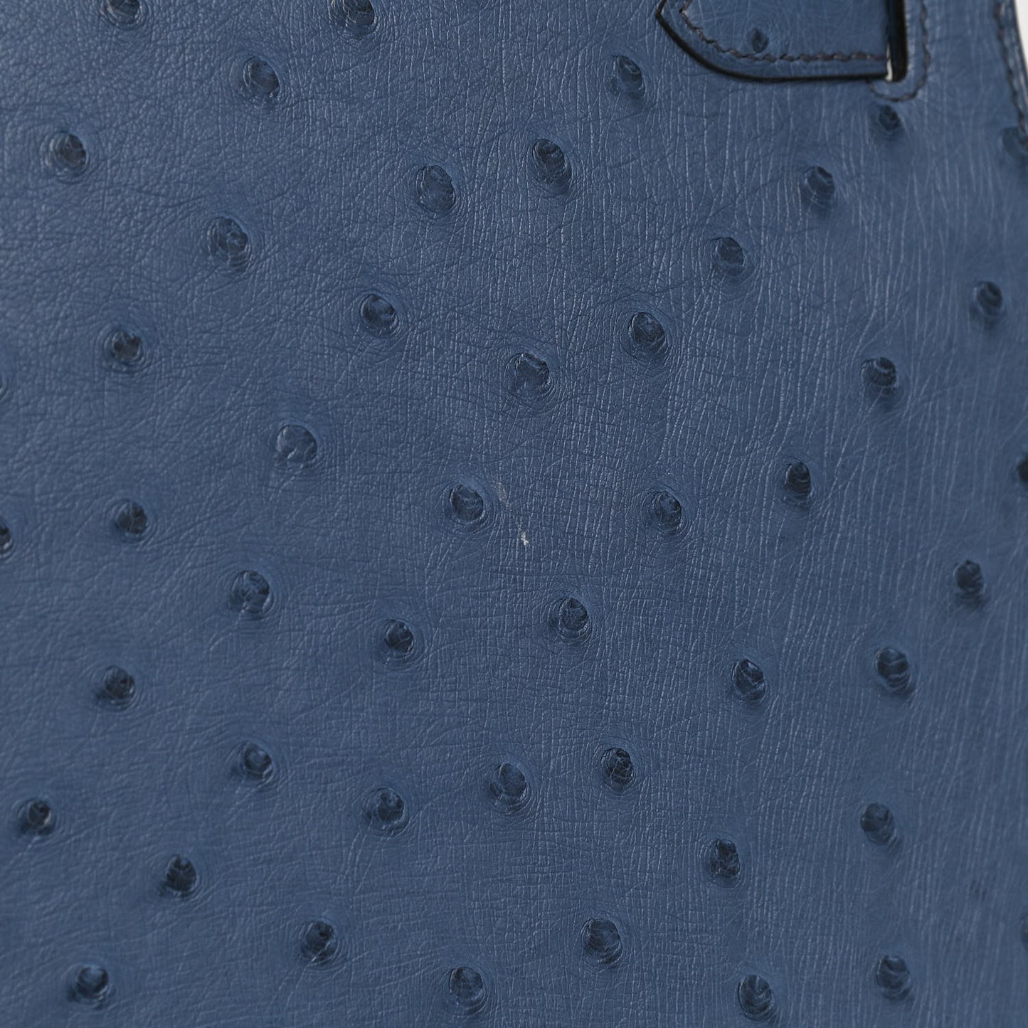 Ostrich Kelly Sellier 28 Bleu Roi