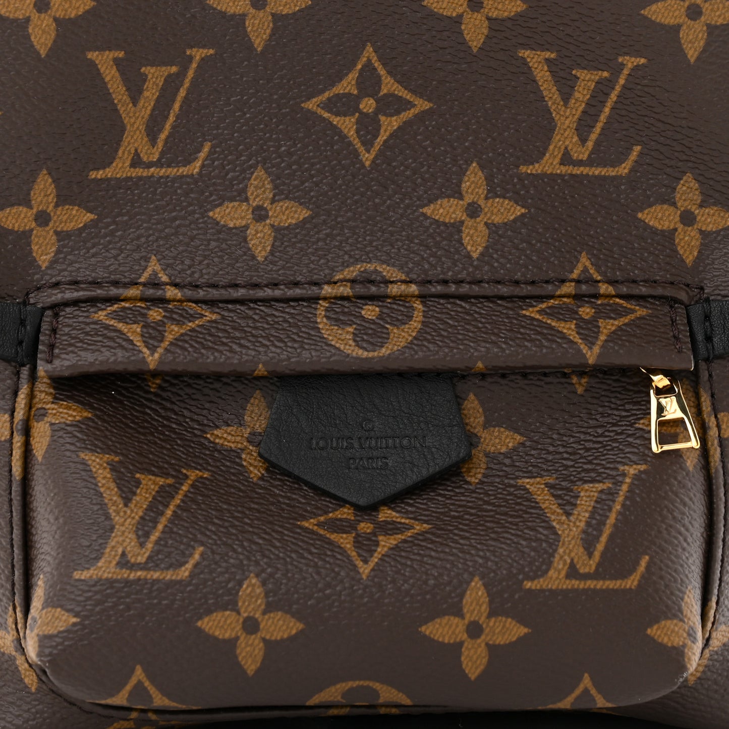 Monogram Palm Springs Backpack Mini