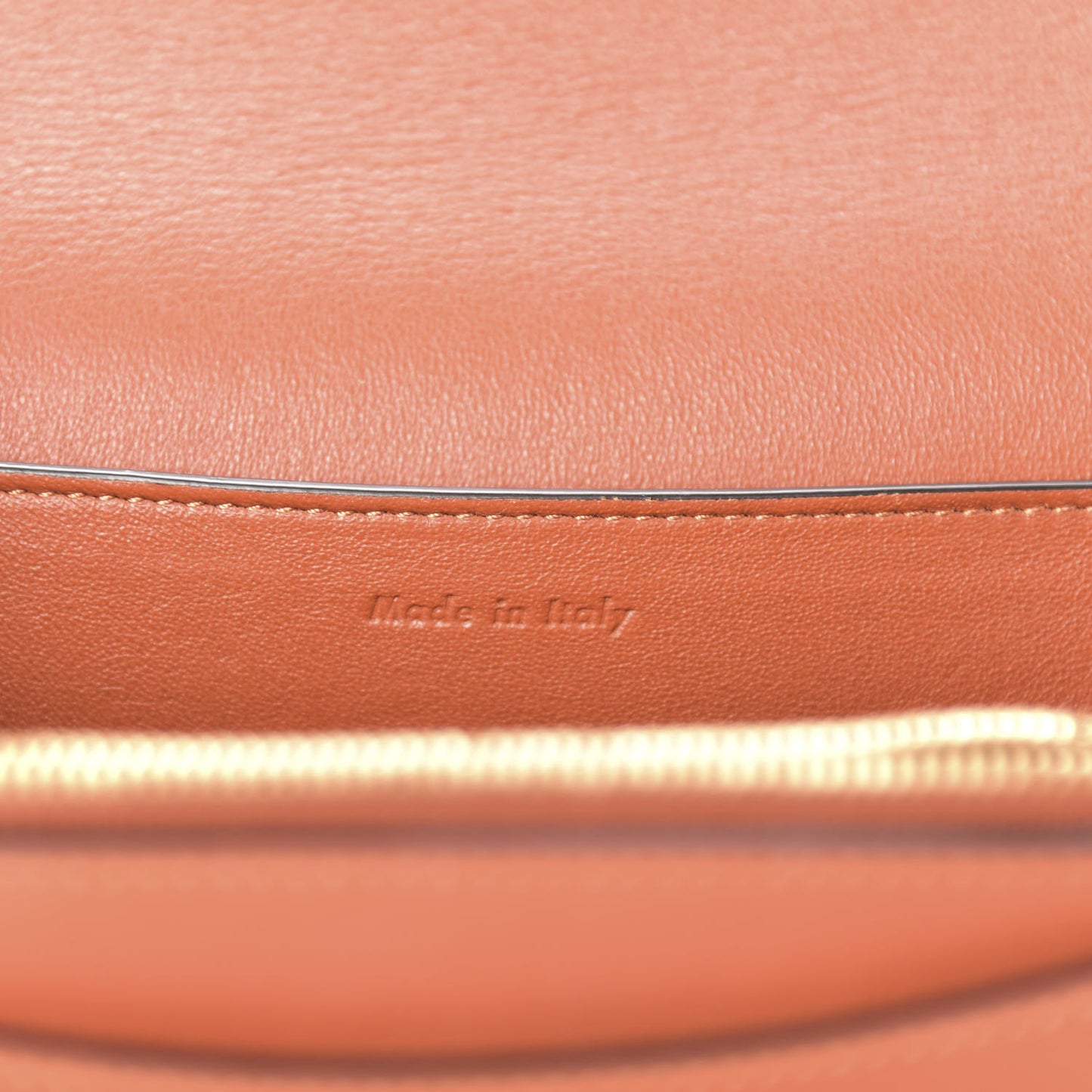 Shiny Smooth Calfskin Medium Frame Shoulder Bag Maple Frost