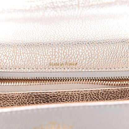 Delvaux Metallic Crispy Calfskin MM Metal Frame Tempete Satchel Antique Silver 6 of 10