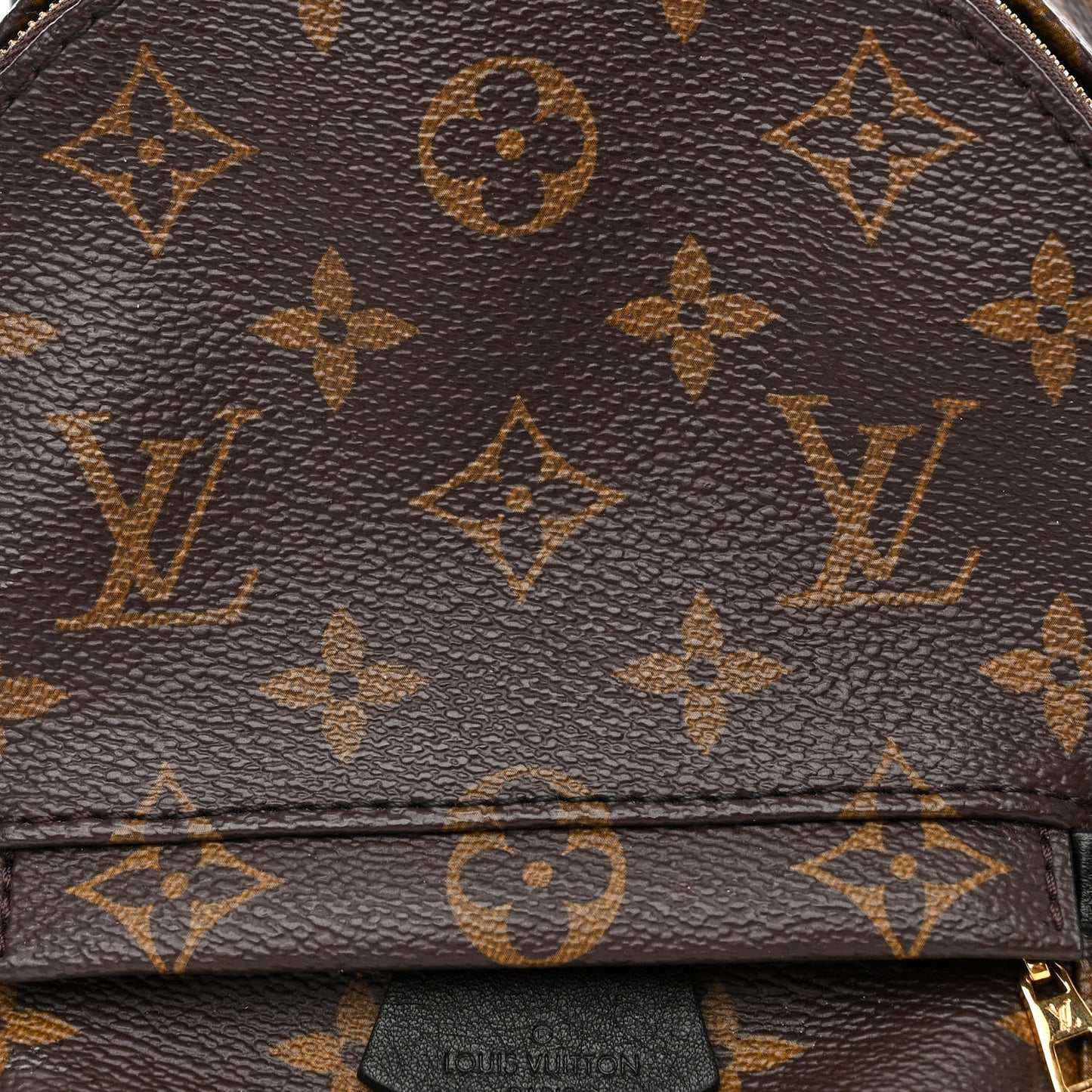 Monogram Palm Springs Backpack Mini