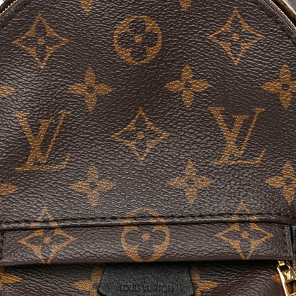 Louis Vuitton Monogram Palm Springs Backpack Mini 7 of 9