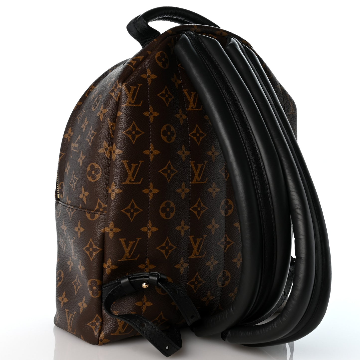 Monogram Palm Springs Backpack MM