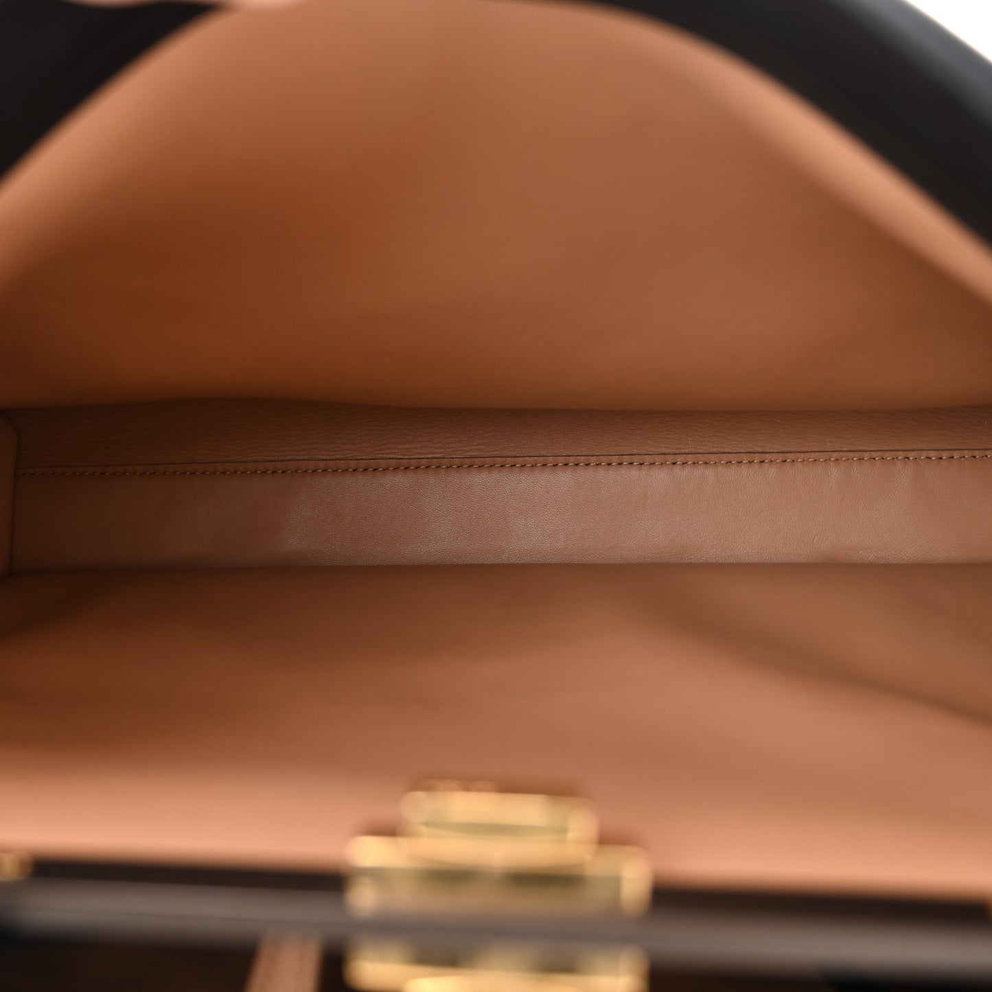 Calfskin Pixel Embroidered Large Peekaboo Iconic Satchel Black