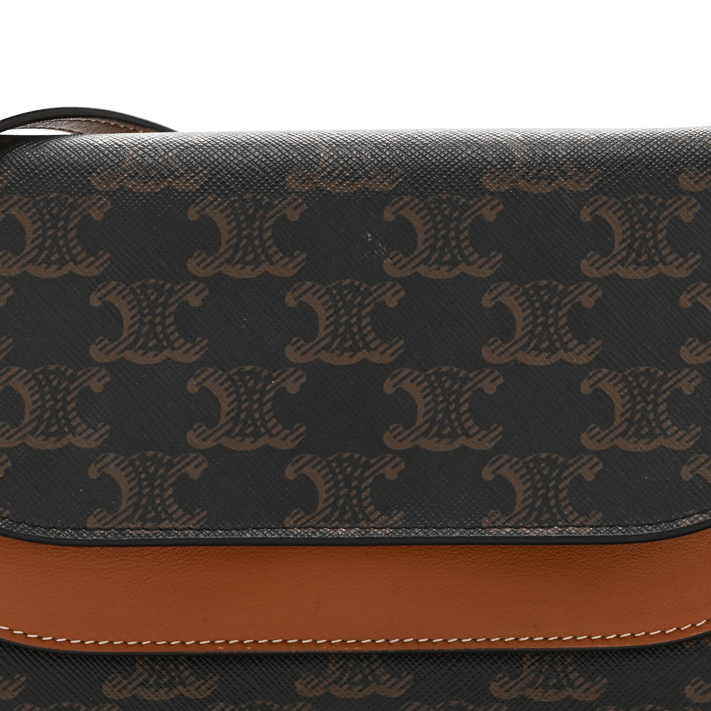 Triomphe Canvas Lambskin Wallet On Strap Tan
