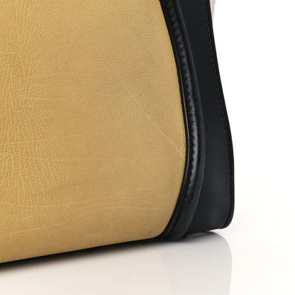 Celine Velluto Calfskin Mini Tri-Color Luggage Vanilla 13 of 13