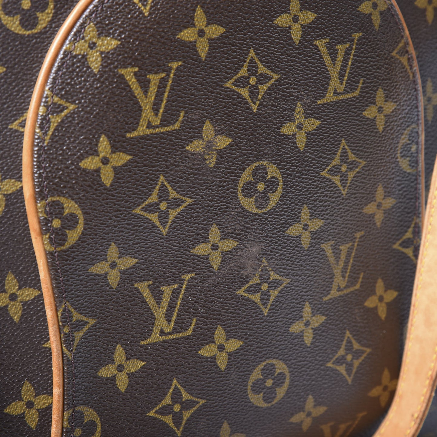 Monogram Ellipse GM Shopping Bag