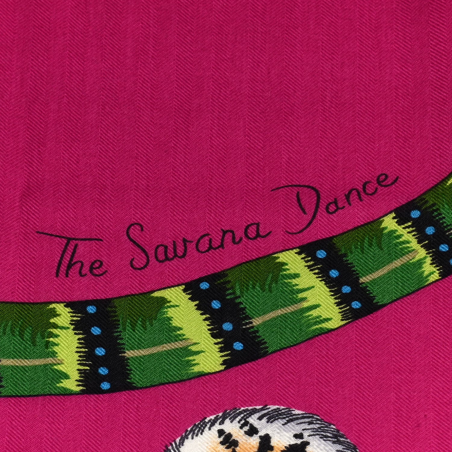 Hermes Cashmere Silk The Savana Dance Shawl 140 3 of 5