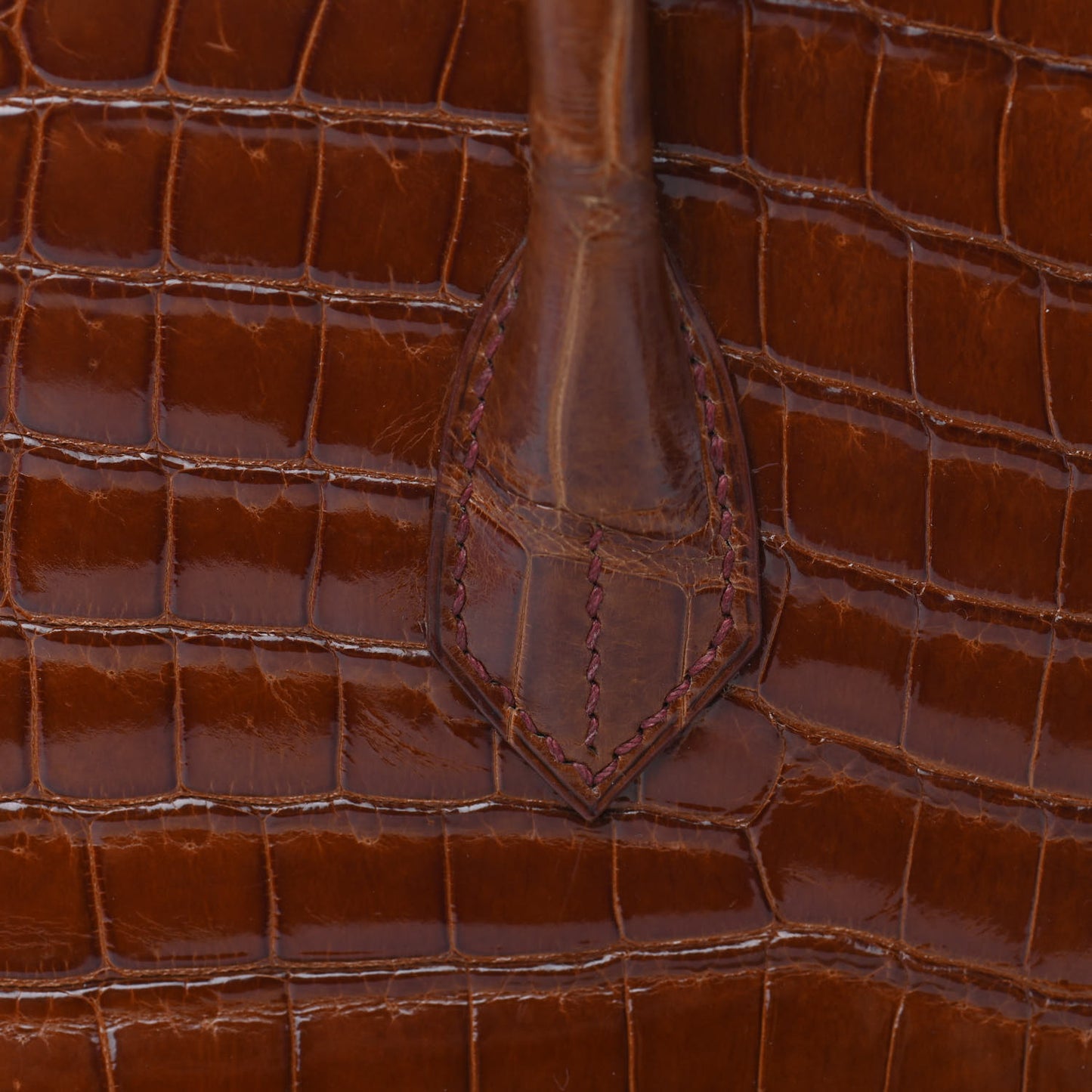 Shiny Porosus Crocodile Birkin 35 Etrusque